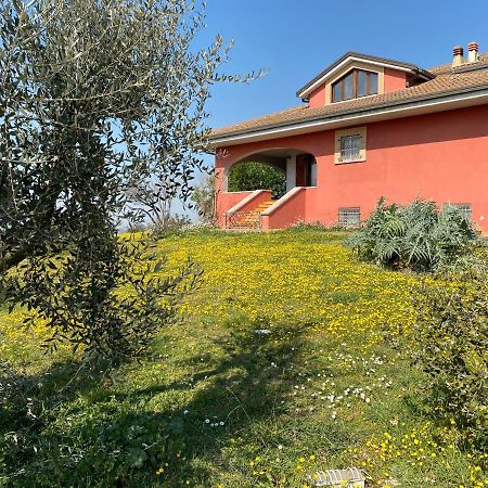 Belle Marche Bed & Breakfast Civitanova Alta Exterior photo